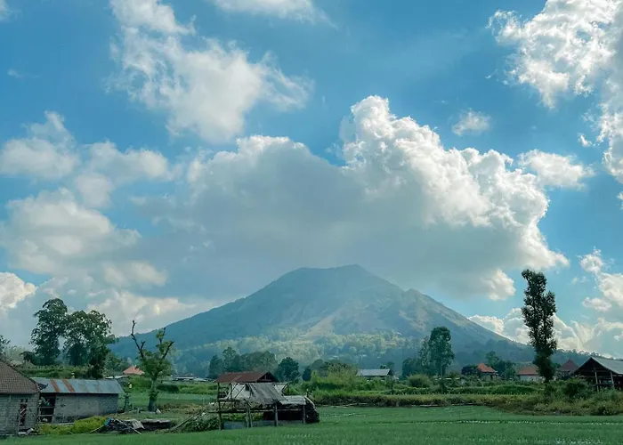 ベッド・アンド・ブレックファスト Volcano Garden クブペンロカン