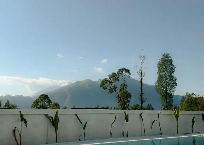 Volcano Garden 4*